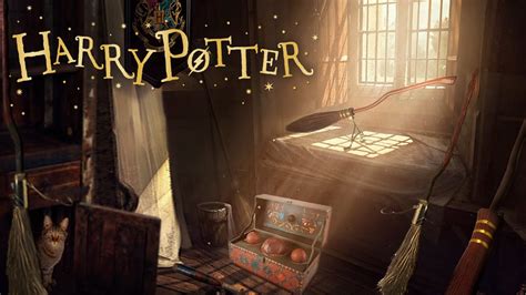 broom closet harry potter|Trapped in a Broom.